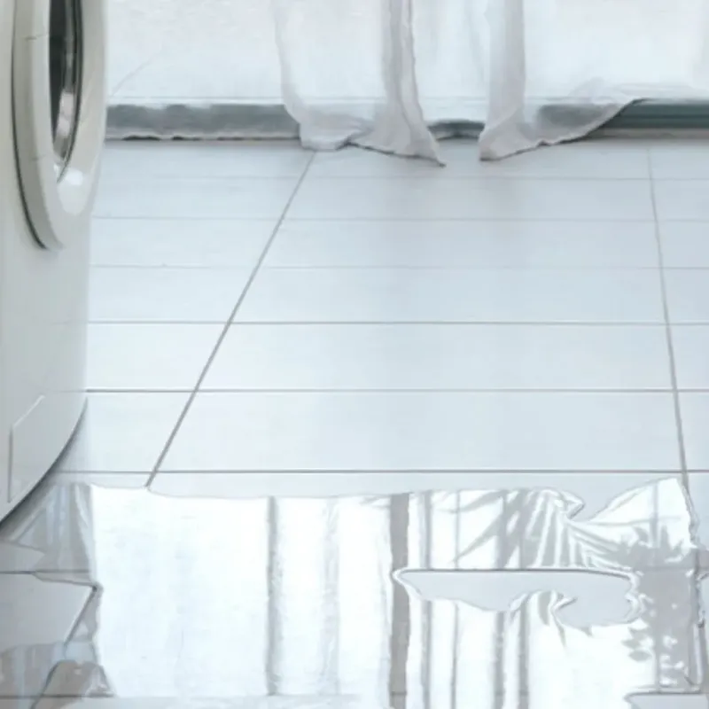 Appliance Leak Cleanup in Thompson, ND