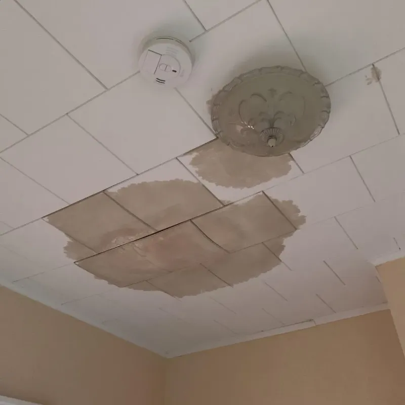 Ceiling Water Damage Repair in Thompson, ND