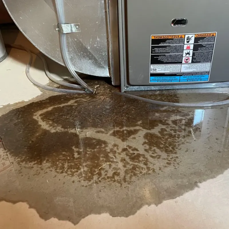 Pipe Burst and Leak Restoration in Thompson, ND