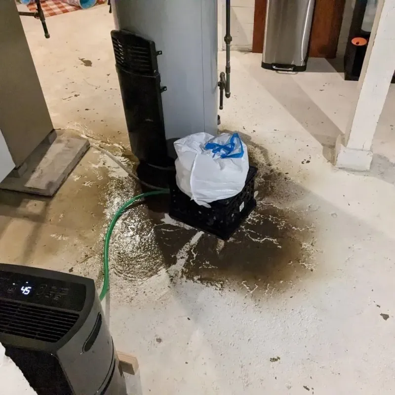 Sewage Backup Cleanup Service in Thompson, ND